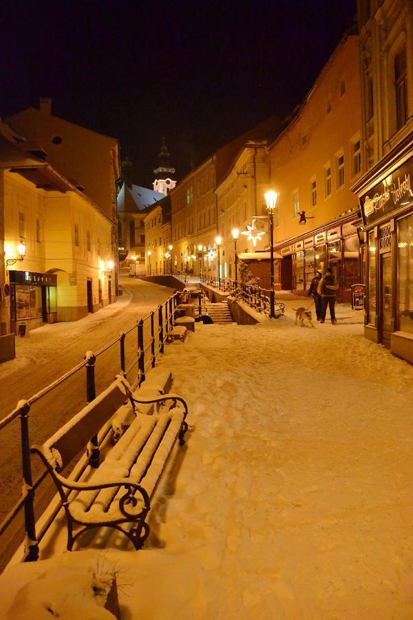Penzion Nostalgia Banská Štiavnica Extérieur photo